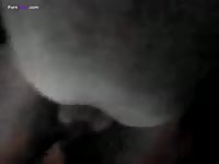 GayBeast Rip Quick Mare Fuck