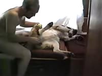 Gay Beast Com Sex Gay Zoo Porn Petlust Men Fuck Animals- Men Fucks Pet