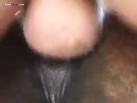 GayBeast.com Sloppy Stallion Mare And Men