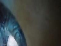 Gay Beast Com Summer Love Gay Zoo Porn Petlust Men Fuck Animals- Man Fucks Animal