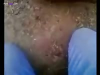 GayBeast Young Guy Fucks Cow