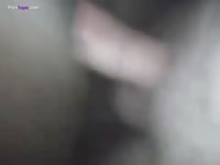 GayBeast Rip Zephra