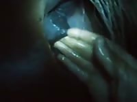 Gelding Fist GayBeast - Zoophilia Porn Tube With Man