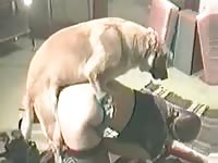 German Housewife Gets Fucked By Dog Petsex Com - Men Fucks Animal