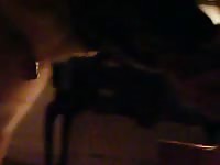 German Shepard Gives Head Like A Pro GayBeast.com - Beastiality Sex Video With Man
