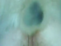 Germany Hep GayBeast - boy Fucks Pet