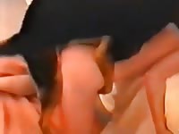Girl Fucked Hard Petsex Com - Animal Dude