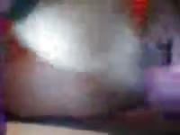 Giving It To The Dog GayBeast.com - Man Fucks Pet