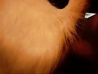Goat 3 GayBeast - Animal Dude