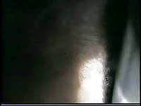 Goat Creampie GayBeast Rip - Bestiality Dude