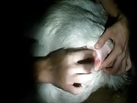 Goat Finger And Fuck 3 GayBeast Rip - Dude Fucks Animal