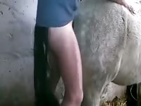 Going Deep 1 Gay Beast Com - Man Fucks Pet