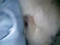 Good Bitch 2 GayBeast - Zoophilia Boy