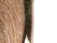 Good Fuck 2 GayBeast - Men Fucks Pet
