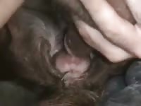 Good Fuck Dog 4 GayBeast.com - Animal Men