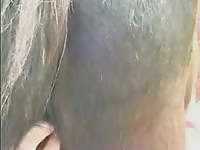 Goodlooking Guy With Mare GayBeast.com - Dude Fucks Pet