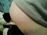 Goooooood GayBeast - Men Fucks Pet