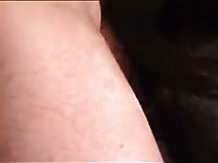 Great Dame GayBeast - Animal Porn Tube With Men