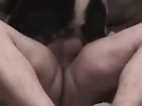Gsd Goes Cowgirl And Rides Her Owner Gay Beast Com - Men Fucks Pet