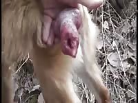 Gsd Musturbation With Cum Gay Beast Com - Beastiality Man