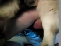 Gsd Rape GayBeast Rip - Zoophilia Sex Tube With Boy