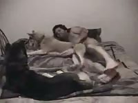 Guy And Female Husky GayBeast Rip - Beastiality Boy