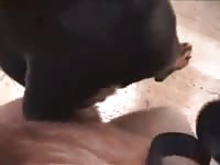 Guy And His Rottie Bitch Gay Beast Com - Men Fucks Animal