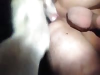Guy And Mix GayBeast Rip - Animal Porn Video With Boy