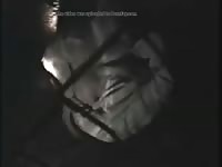 Guy Being Fucked By Wolf GayBeast Rip - Dude Fucks Animal