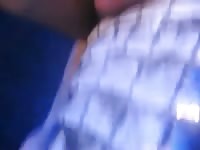 Guy Fucks Alligator GayBeast Rip - boy Fucks Pet