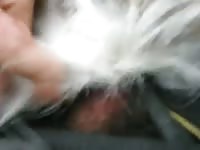 Guy Fucks Deer 1 GayBeast - Animal Porn Video With Boy