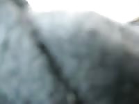 Guy Fucks Deer 2 Gay Beast Com - Men Fucks Animal