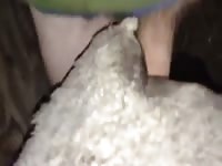 Guy Fucks Sheep Gay Beast Com - Beastiality Men