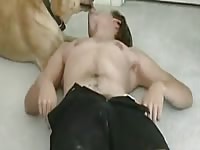 Guy Kisses And Fucks Dog GayBeast Rip - Beastiality Porn Video With Boy