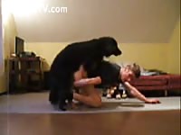 Guy Knotted Gay Beast Com - Men Fucks Animal