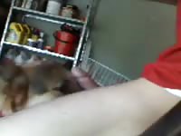 Guy Plays With His Dog GayBeast Rip - Beastiality Men