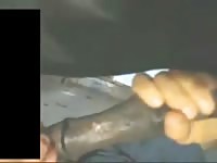 Guy Sucks Hard Horse Cock GayBeast Rip - Man Fucks Animal