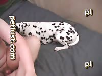 Guys And Female Dogs P225 Spotty Twat Petlust Com