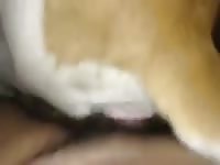Hard Fucking2 GayBeast - Man Fucks Animal