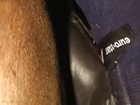 Hd Man Cums In Mare