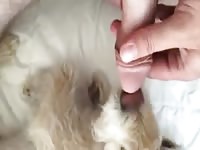He Loves Precum GayBeast.com - Zoophilia Dude
