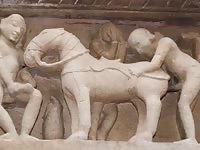 History Lession1 GayBeast Rip - Animal Men