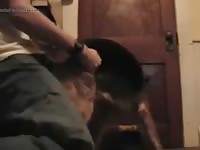 Hombre Cogiendose Perra GayBeast Rip - Bestiality Dude