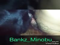 Homemade Boy Fuck Dog Gay Beast Com - Zoophilia Men