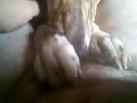 Horny Bitch Gives The Best Blowjob GayBeast - boy Fucks Animal