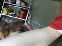 Horny Guy And Dog GayBeast.com - Dude Fucks Animal