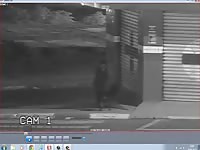 Horny Man Caught On Securitycamera On Public Road Having Sexual Encounters With Strays Gay Beast Com - Bestiality Porn Tube With Dude