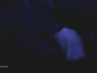 Horse At Night GayBeast.com - Beastiality Porn With Boy