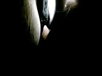 Horse Being Fucked Gay Beast Com - Animal Porn Video With Dude