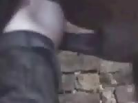 Horse Breeding Man Twice With Cum Flow GayBeast.com - Zoophilia Sex Movie With Dude